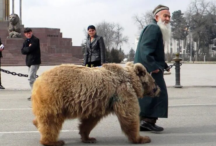 عکس تحمل کردن 22 عکس تحمل کردن