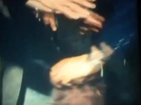 لحظه خداحافظی بدن پدر پدر پدر بابائی