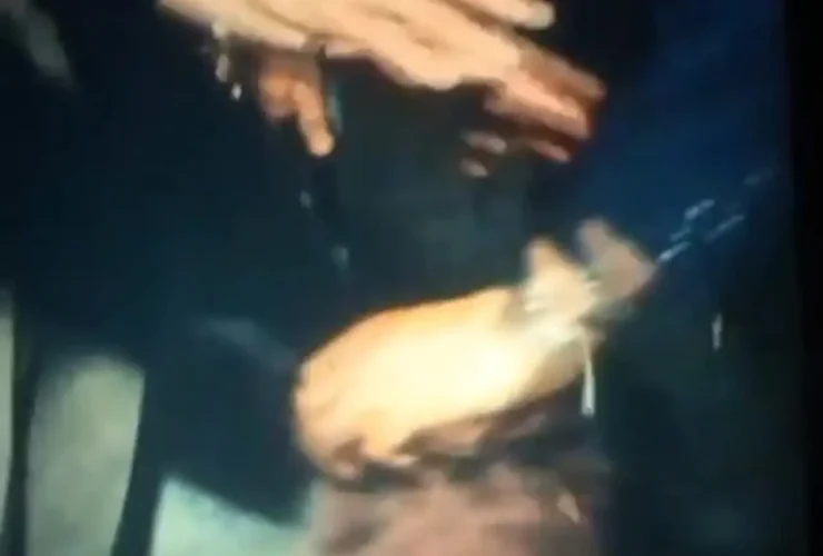 لحظه خداحافظی بدن پدر پدر پدر بابائی