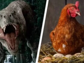 مرغ ها یکی از نزدیکترین بستگان زنده هستند