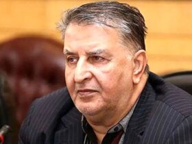 نمایندگان عزیز ، لطفاً قانون اساسی را بخوانید/ برخی از حامیان بیش از حد از هر بهانه ای برای حمله به رئیس جمهور استفاده می کنند