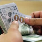 وزیر اقتصاد: ارز باید انحصار یابد