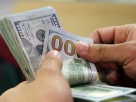 وزیر اقتصاد: ارز باید انحصار یابد