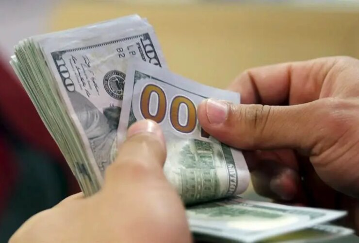 وزیر اقتصاد: ارز باید انحصار یابد