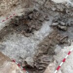 کشف یک اسکلت 5 ساله با تاج طلایی