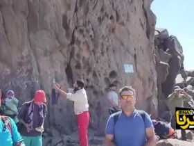 کوهنوردان خرس سبلان را از طبیعت خارج کردند