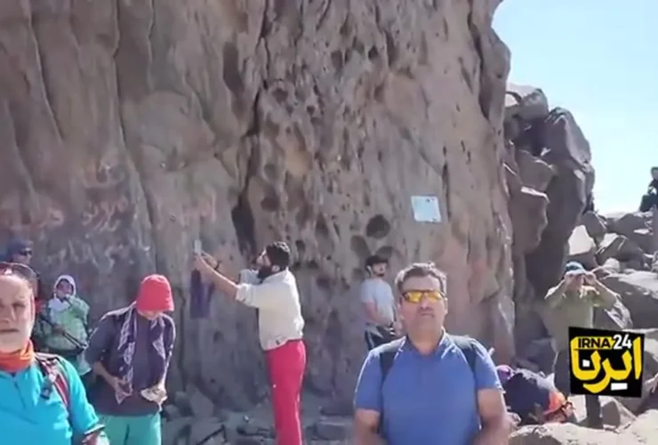 کوهنوردان خرس سبلان را از طبیعت خارج کردند