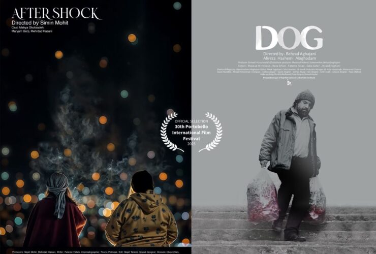 یک زن تحت فشار و مردی که برای کاهش وزن به گربه صدمه می زند