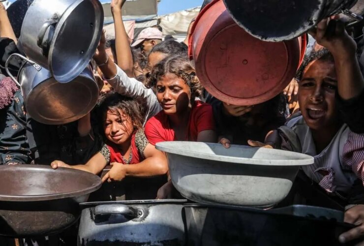 تصاویر فلسطینی های گرسنه گریه و گریه می کنند در مجموعه توزیع مواد غذایی