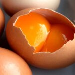 کدام پرنده بزرگترین در جهان است