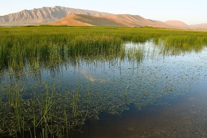 سفری به مستطیل شکل در ایران در روزهای تابستان گذشته/ 2 اهداف جذاب برای ماجراجویی
