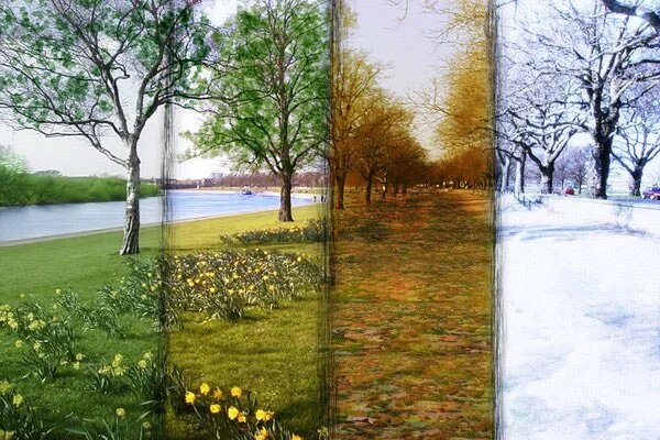 نسخه طبیعت برای تغییر فصل و تأثیر روح و بدن