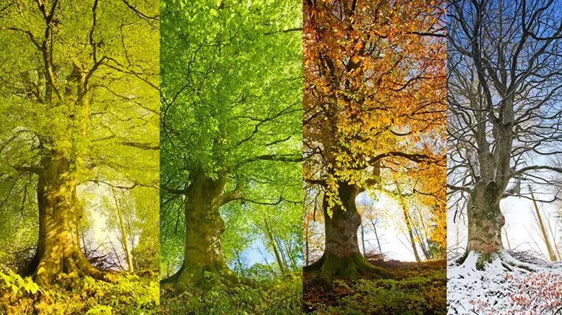 نسخه طبیعت برای تغییر فصل و تأثیر روح و بدن