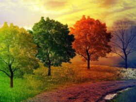 نسخه طبیعت برای تغییر فصل و تأثیر روح و بدن