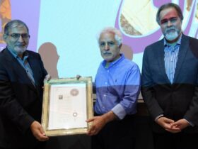 نشان هنری برای کارگردان "سینمای نگران" داده شد.