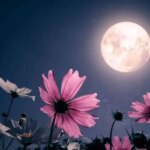 نزدیکترین و بزرگترین ماه سال را از دست ندهید
