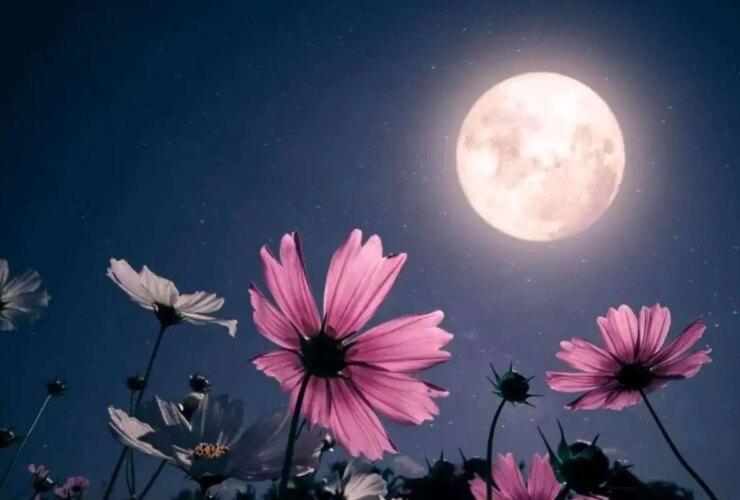 نزدیکترین و بزرگترین ماه سال را از دست ندهید