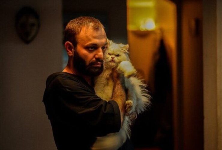 لاک پشت به سینما می آید/ در معرض مصادره قرار می گیرد