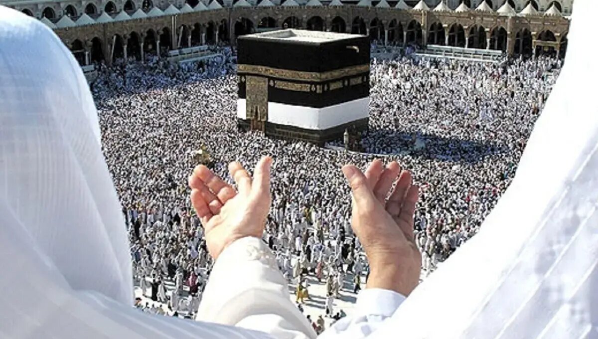 مشخص شده