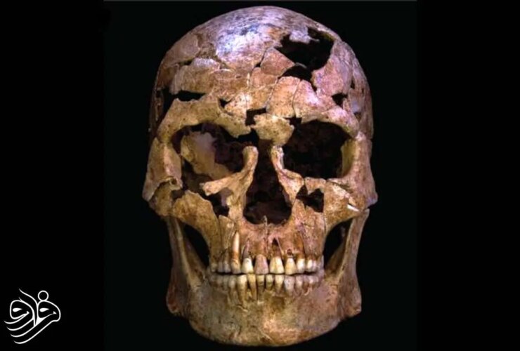 اولین قربانی قتل تاریخ کشف شد