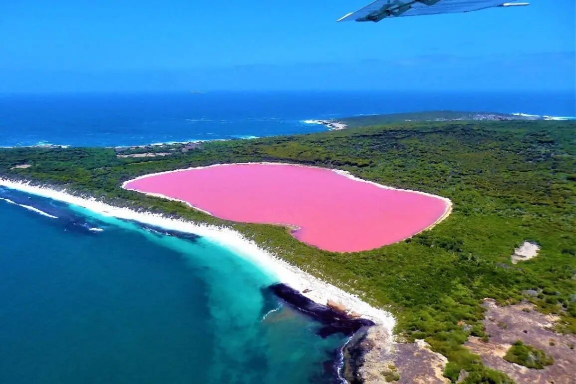 تاریخ پنهان طبیعت و ایران/ 2 اهداف مختلف برای گردشگری