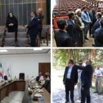 ما سینمای مدرن در کرمان نداریم