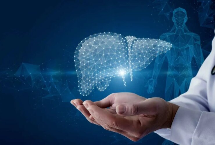 مقصر اصلی کبد چربی و سیروز کبد چیست؟ 12 مقصر اصلی کبد چربی و سیروز کبد چیست؟