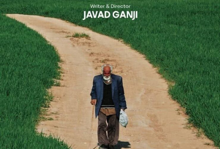 پیرمردی که فراموش می کند سنت را که در فرانسیسکو ارسال شده است فراموش کند