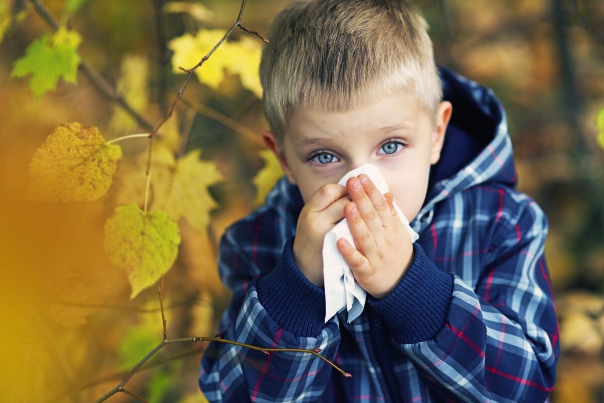 نسخه داروی سنتی برای حساسیت پاییز