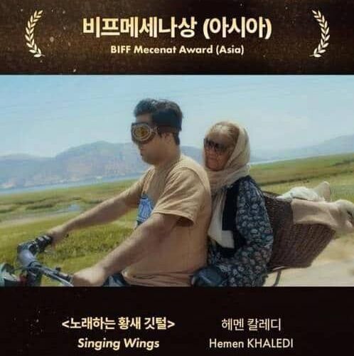 جایزه جشنواره بوسان به ایران رسید 18 جایزه جشنواره بوسان به ایران رسید