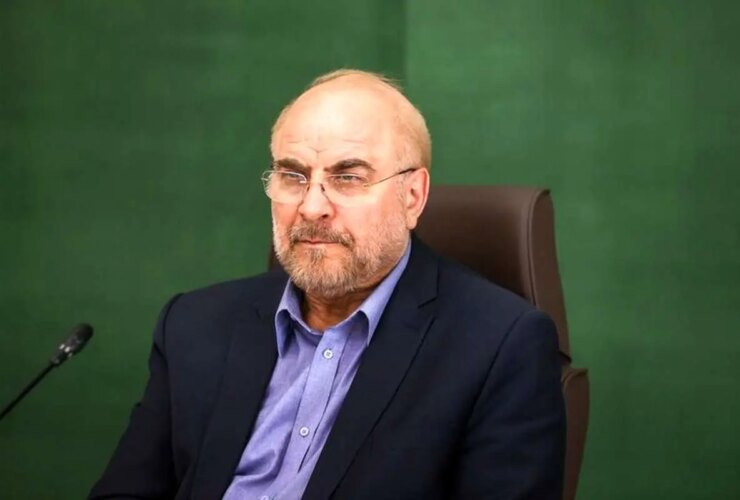 مصاحبه فرش جواد موگوی در توضیحات سانسور IRIB