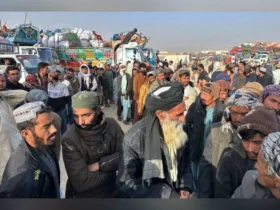 احتمالاً شهروندان غیرمجاز را از کشور باز می گرداند