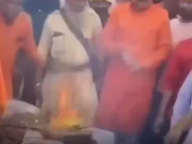 السا ترامپ را دفن کرد