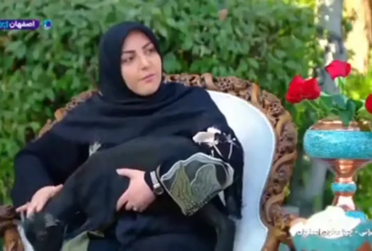 المیرا شریفی مگادام سلیقه 15 المیرا شریفی مگادام سلیقه