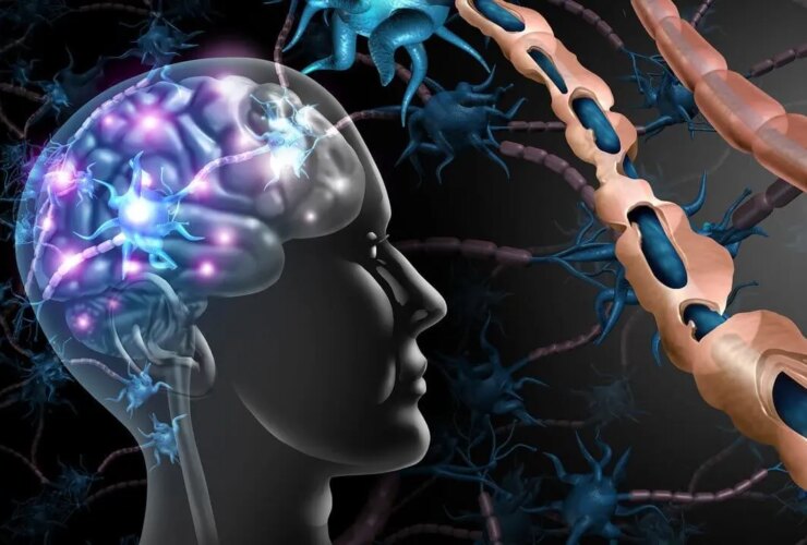 امید جدید بیماران مبتلا به داروهای گیاهی 35 امید جدید بیماران مبتلا به داروهای گیاهی