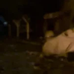برای دیدن انفجار وحشتناک ساختمان مسکن در غزه