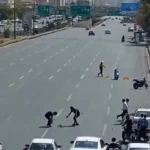 برای دیدن بازیابی توله سگ اردک از بزرگراه تهران