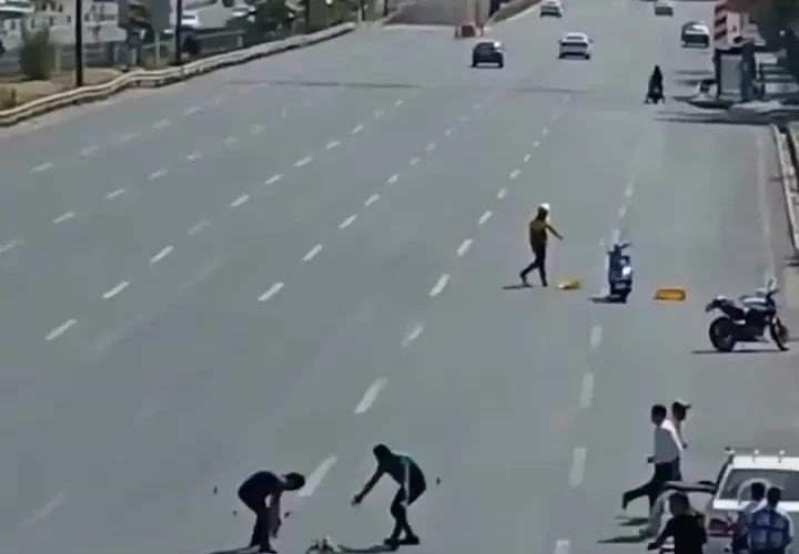 برای دیدن بازیابی توله سگ اردک از بزرگراه تهران
