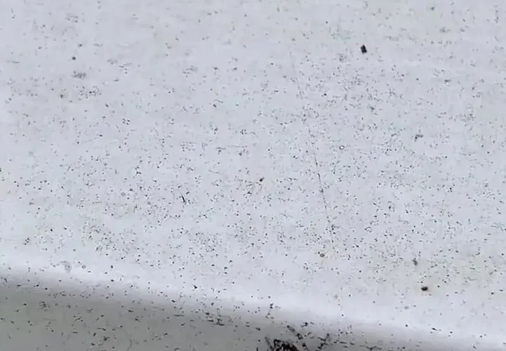 برای دیدن حمله عنکبوت ها به پرواز