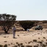 برای دیدن در اینجا با ارزش تر از طلا است!