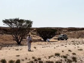 برای دیدن در اینجا با ارزش تر از طلا است!