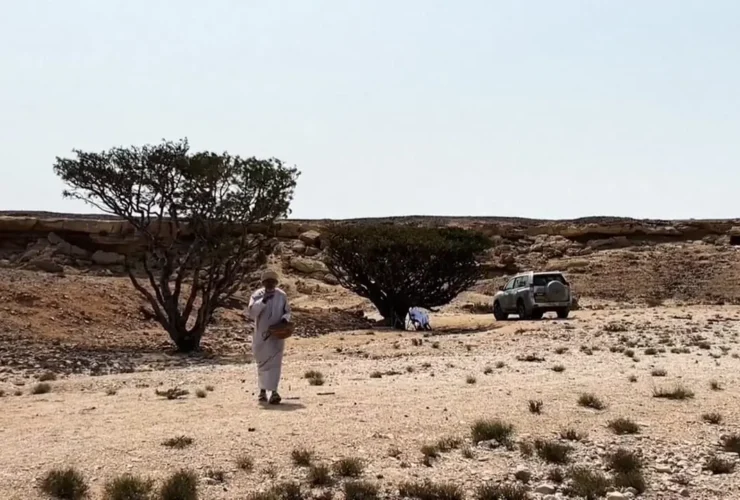 برای دیدن در اینجا با ارزش تر از طلا است!