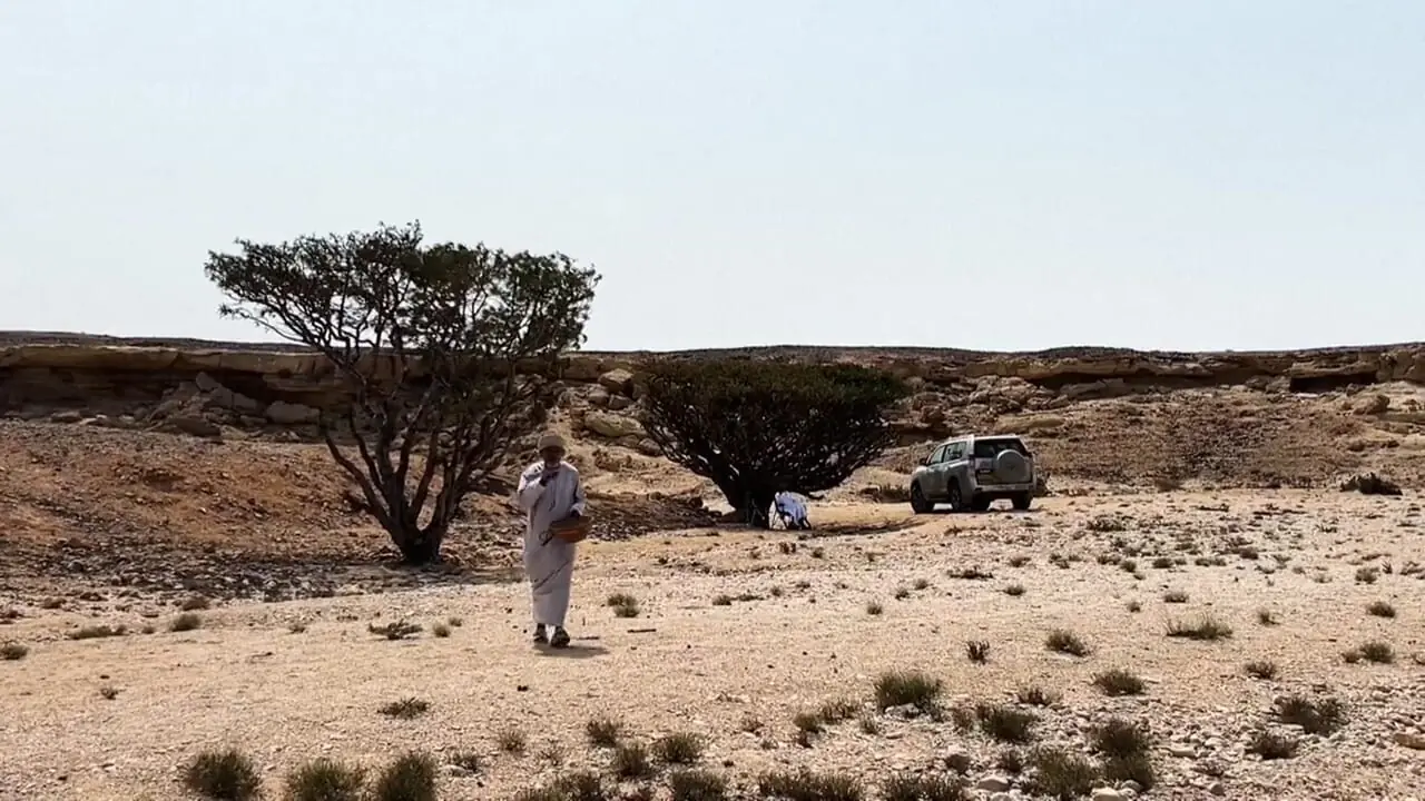 برای دیدن در اینجا با ارزش تر از طلا است!