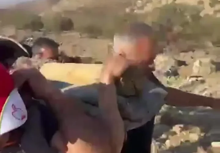 برای دیدن دو کیلومتر گاو زخمی با کشش چوبی 24 برای دیدن دو کیلومتر گاو زخمی با کشش چوبی