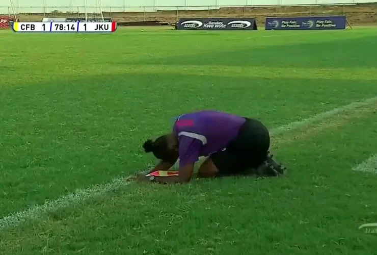 برای دیدن زنبورها با عجله یک مسابقه فوتبال