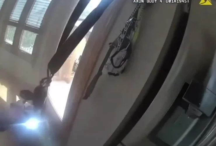 برای دیدن سگ خانگی که پلیس را برای فرار به پلیس داد