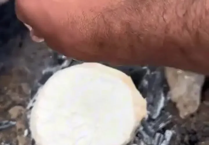 برای دیدن قارچ های نادر و غول پیکر در کوه سلیمان 27 برای دیدن قارچ های نادر و غول پیکر در کوه سلیمان