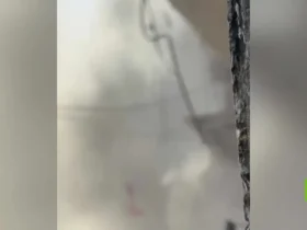 برای دیدن لحظه از بین بردن مسجد توهید در غزه