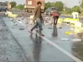 برای دیدن پر از تورنت های پر از ماهی در بزرگراه