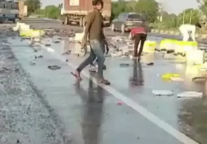 برای دیدن پر از تورنت های پر از ماهی در بزرگراه